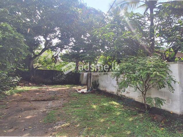 Land for Sale at Pasal Mawatha, Gangodawila, Nugegoda.