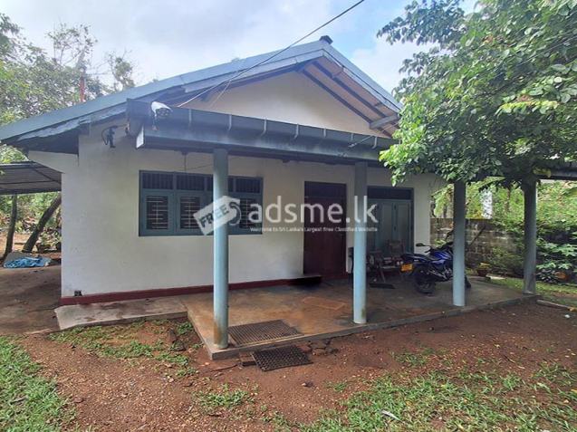 Land for Sale at Pasal Mawatha, Gangodawila, Nugegoda.