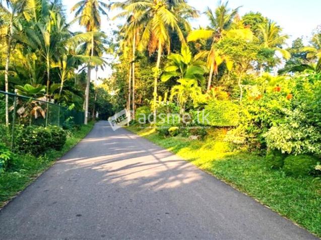 41 Perches of Land for Sale in Udugampola, Gampaha.