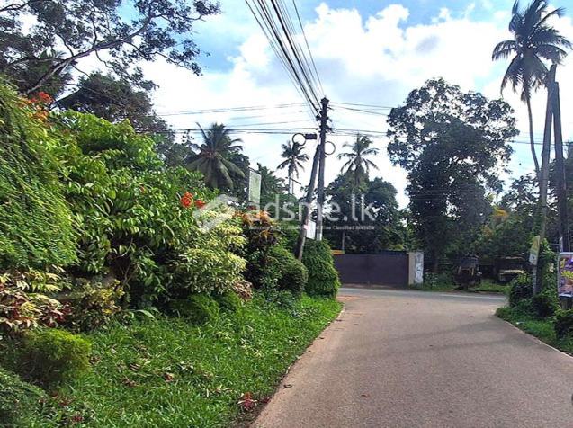 41 Perches of Land for Sale in Udugampola, Gampaha.