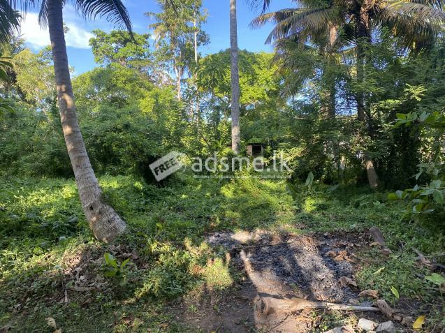 land sale in ahangama