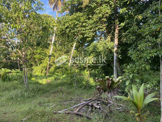 land sale in ahangama