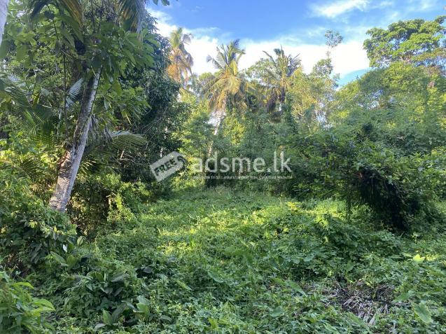 land sale in ahangama