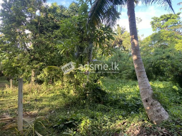 land sale in ahangama