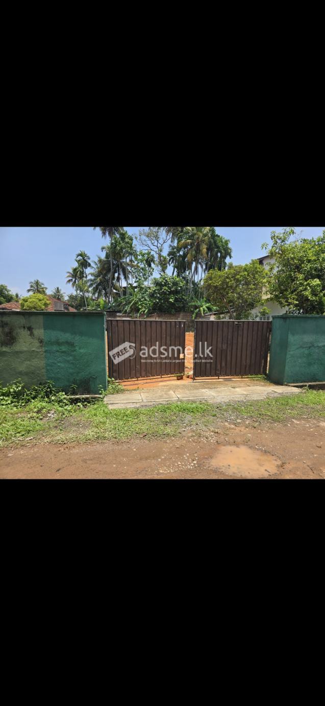 Land for sale 20 P Panadura