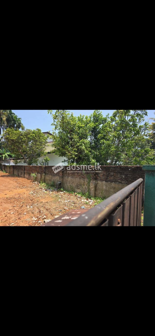 Land for sale 20 P Panadura