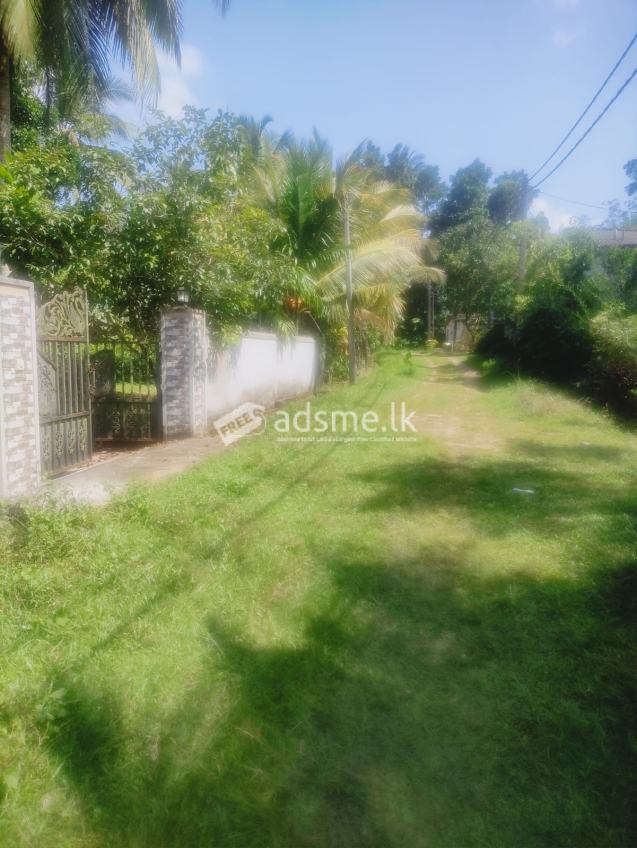 Land For sale in Horana