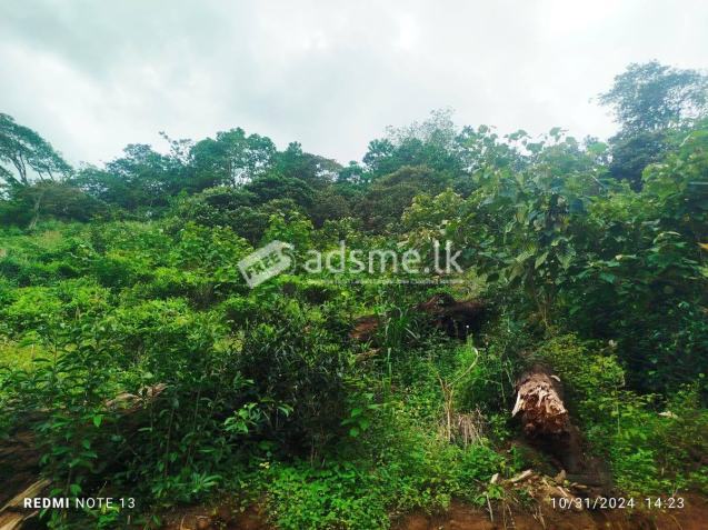Land for Sale – Dedugala (16.5 Acres)