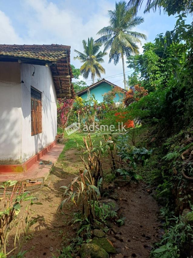 Land With House For Sale