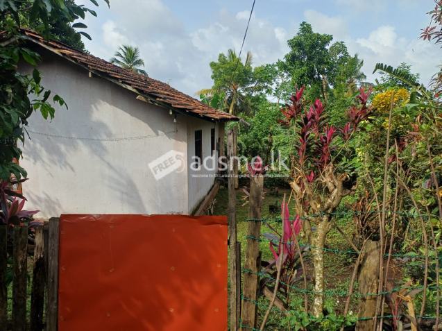 Land With House For Sale