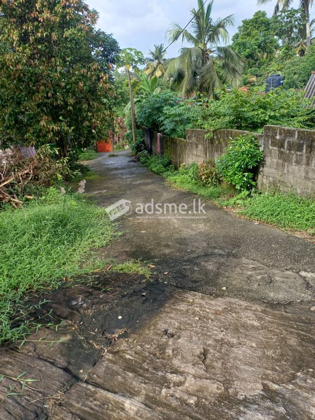 Land With House For Sale