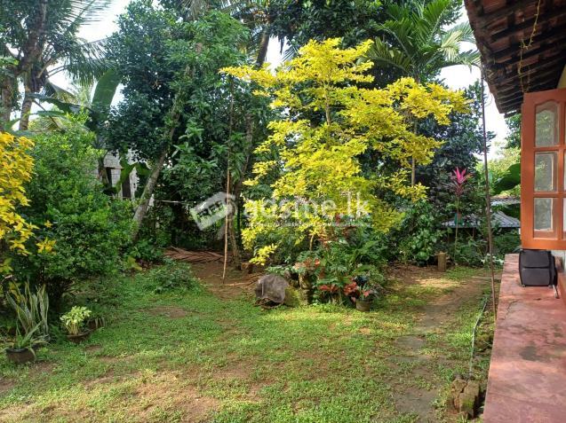 Land With House For Sale