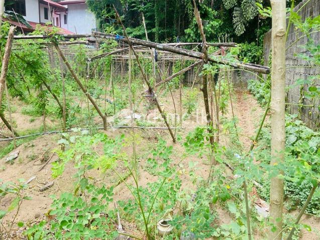 Valuable 20 Perches Land for Sale in Horana.