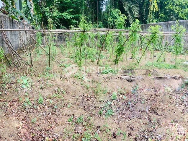 Valuable 20 Perches Land for Sale in Horana.