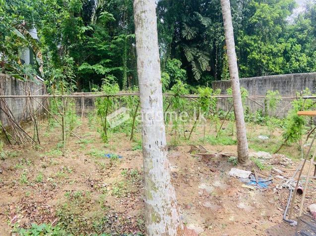 Valuable 20 Perches Land for Sale in Horana.