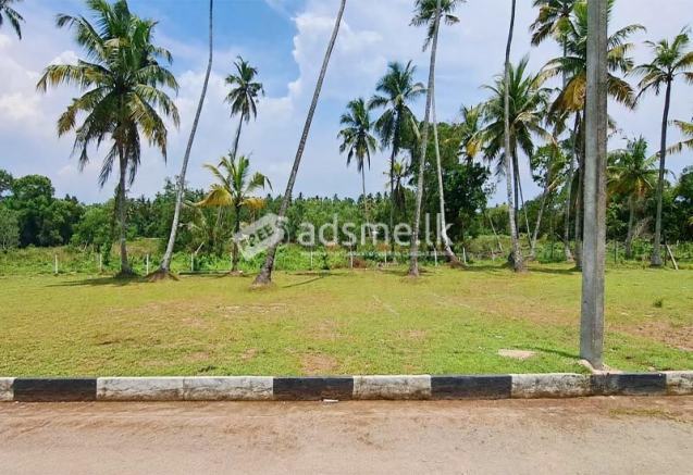 Prime 10 Perch Land for Sale in Katunayake