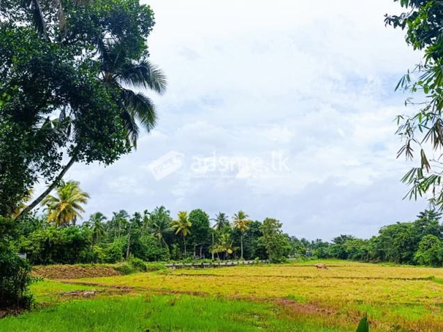 88 Perches of Land for Sale at Kahathuduwa, Piliyandala close vicinity to Highway.