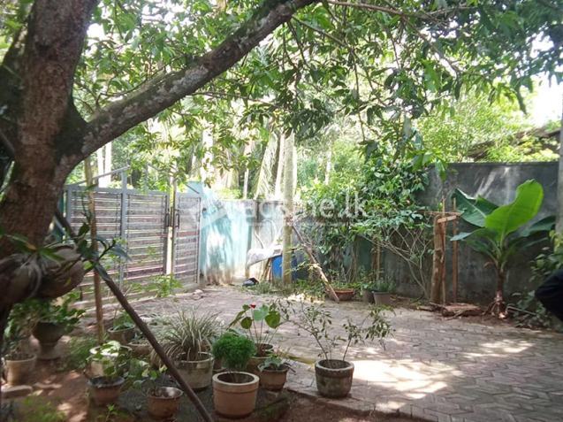 Complete Single Story House for Sale in Gonapala Horana