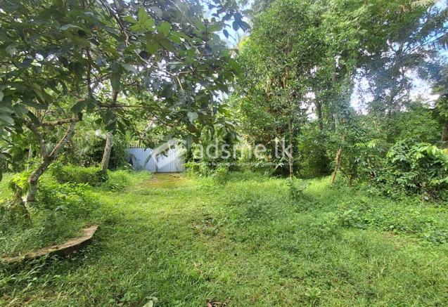 Property for Sale – Doranagoda, Gampaha.