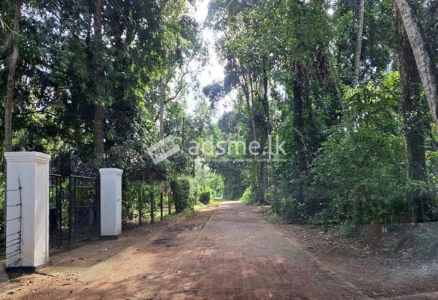 Property for Sale – Doranagoda, Gampaha.