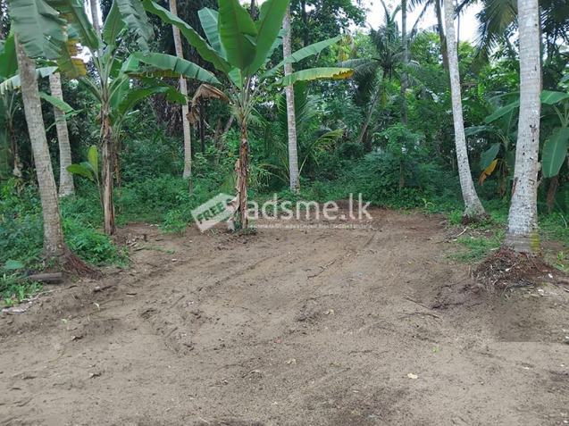 Valuable Land for Sale in Hikkaduwa Tourist Zone