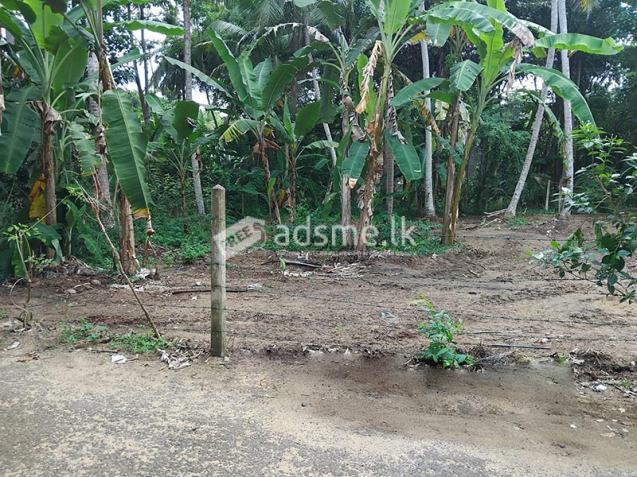 Valuable Land for Sale in Hikkaduwa Tourist Zone
