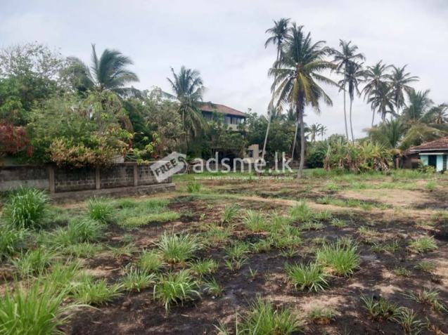 Prime Land for Sale – Close to Pamunugama Town.