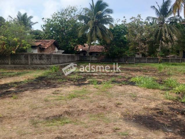 Prime Land for Sale – Close to Pamunugama Town.