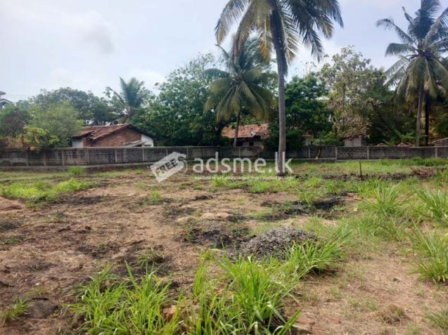 Prime Land for Sale – Close to Pamunugama Town.