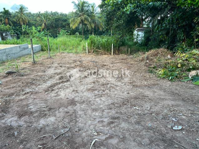 Valuable Residential Land for Sale in Kottawa