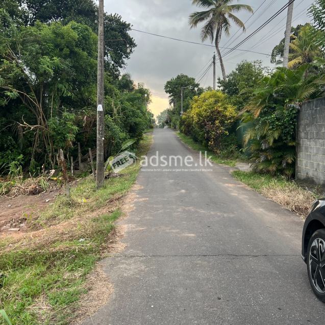 Valuable Residential Land for Sale in Kottawa