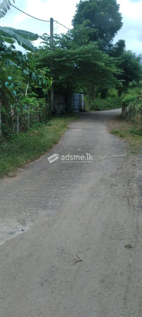 Land For Sale