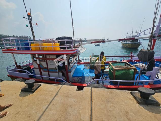 Boat For Sale