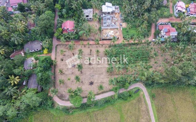 Valuable Residential Land Blocks Available for Sale in Weliweriya
