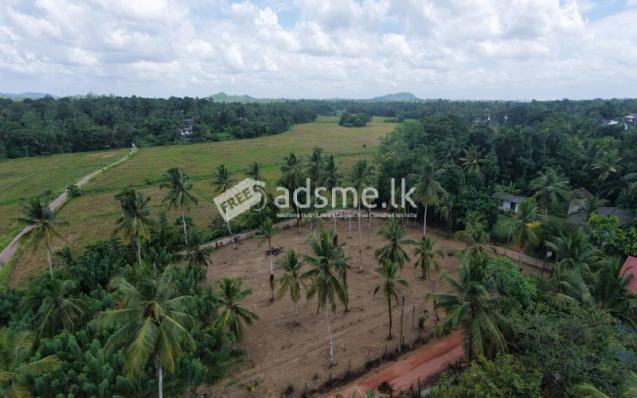 Valuable Residential Land Blocks Available for Sale in Weliweriya