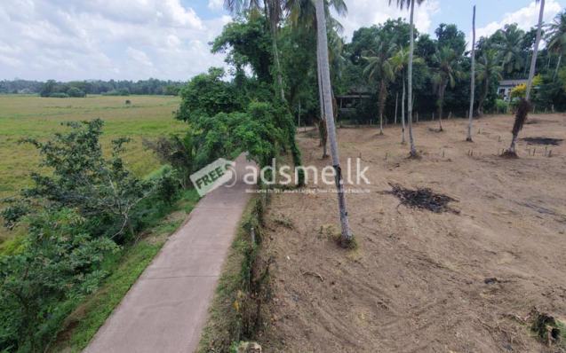 Valuable Residential Land Blocks Available for Sale in Weliweriya