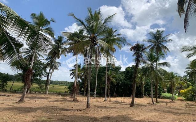 Valuable Residential Land Blocks Available for Sale in Weliweriya