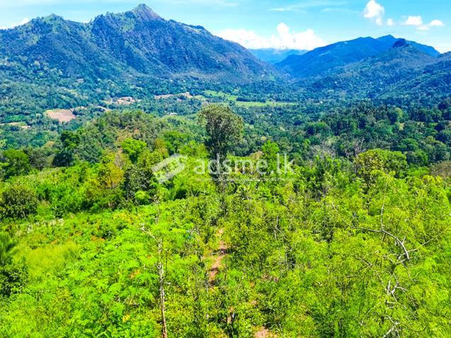 Invest in Sri Lanka’s Premier Agribusiness Badulla – Mahiyangana road.