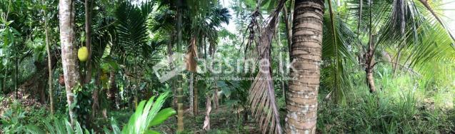 Land With House For Sale