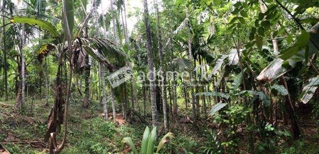 Land With House For Sale