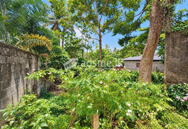10 Perch Residential Land for Sale – Mahawatte Road, Ganemulla