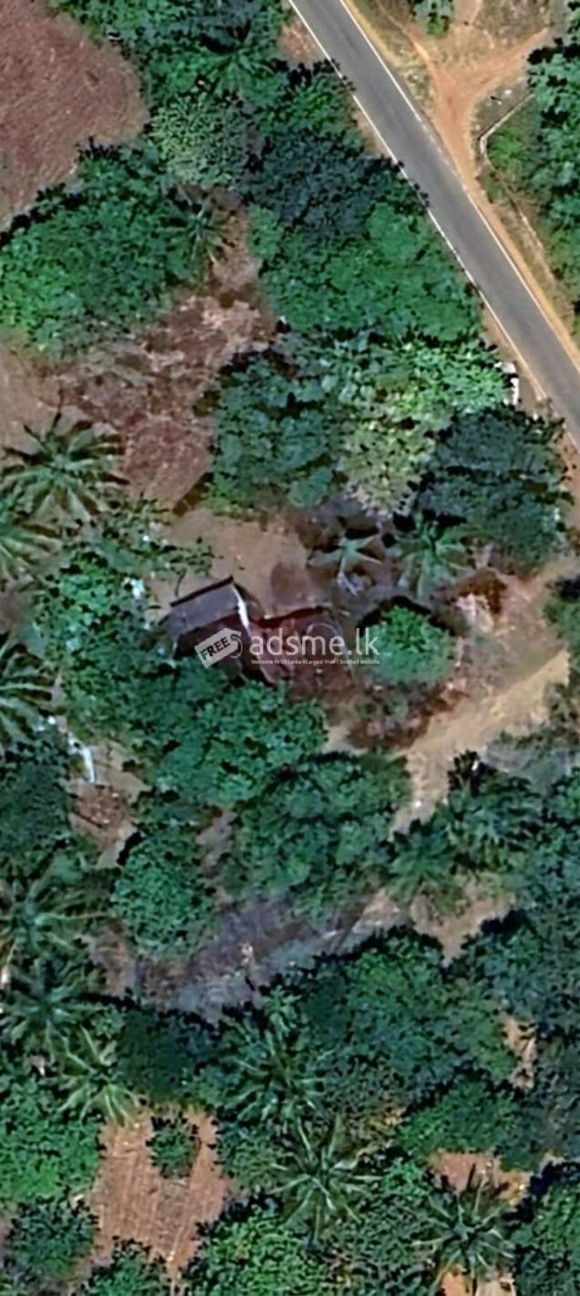 Urgent Land for Sale in Pandukabhayapura, Anuradhapura – 159 Perches