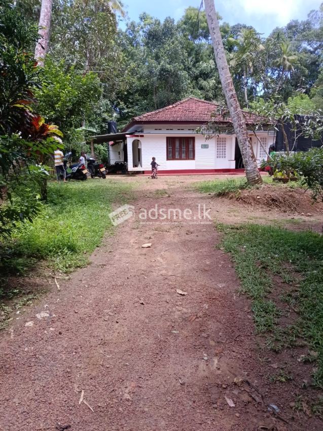 House For Sale