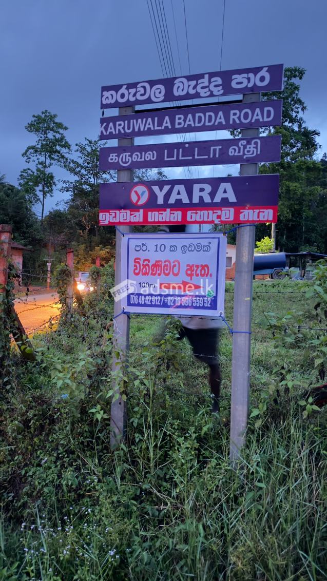 Land For Sale
