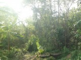 53.8 perches land for sale