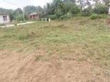 Commercial Land for Sale Immediately  at Horana - Kalutara