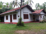 Coconut Land with 4 Bed room house in Divulapiyiya
