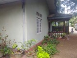 Single old house in kohuwala