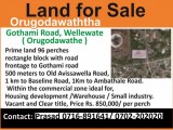 Prime land For Sale @ Wellampitiya