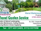 MALAYSIAN GARDEN GRASS SUPPLIER MANEL